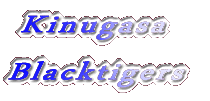  Kinugasa Blacktigers 