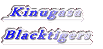  Kinugasa Blacktigers 