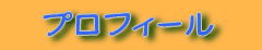 �v���t�B�[��