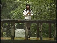 No4
