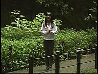 No6