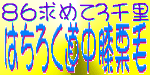 ゆみ