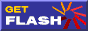 Flash プレイヤーのプラグイン