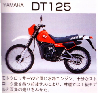 dt125(1)_p.jpg