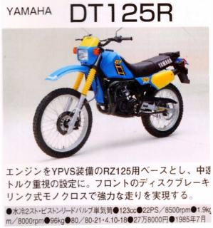 dt125(3)_p.jpg