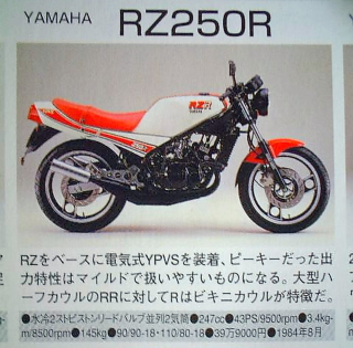 rz250r(3)_p.jpg