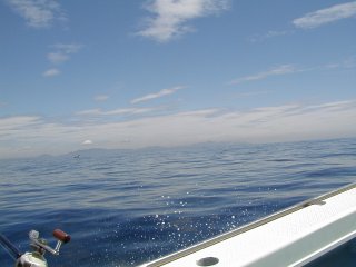 P1010001.jpg