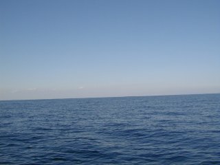 Pa270023.jpg
