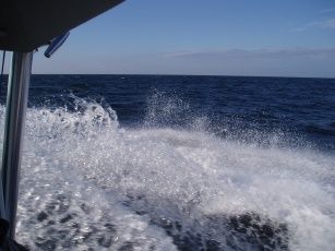 P7110283.jpg
