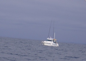 Image2.jpg