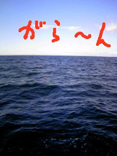072.jpg