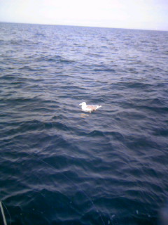 080105_093746.JPG