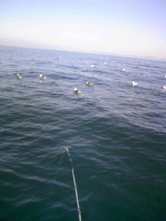 080209_094823.JPG