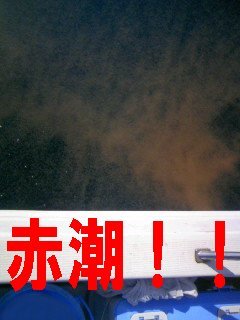 080406_24.jpg