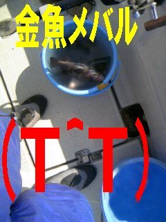 080406_28.jpg
