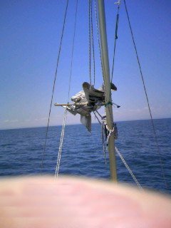 08061511.jpg