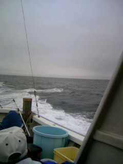080622_004.JPG