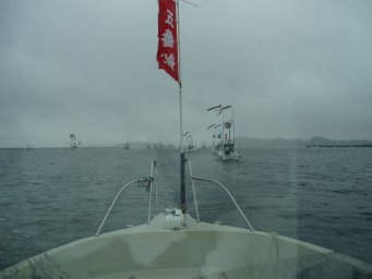 080721020.jpg