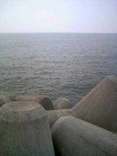 080802_004.JPG