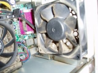 8172677.jpg