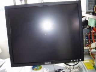 8172692.jpg