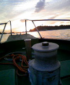 081012_055234.JPG