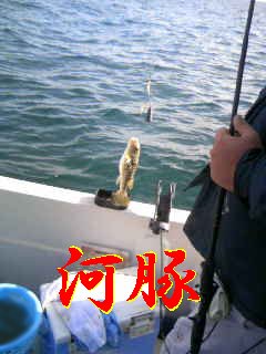 100111_031.jpg