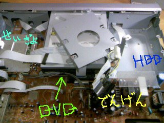 110222_015.jpg