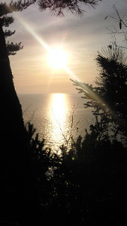 NEC_0042.jpg
