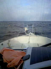 130105_012.jpg