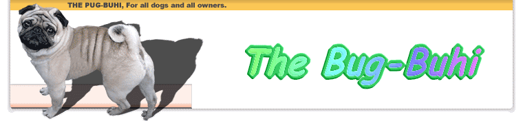              The Bug-Buhi