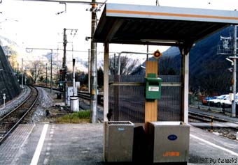 kadoshima