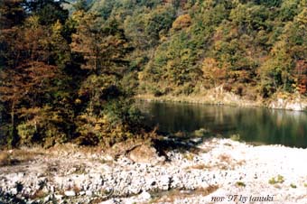 karakasa