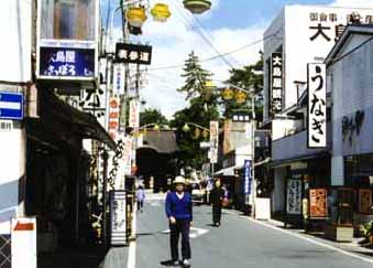 toyokawa