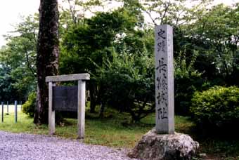 nagashinojyo