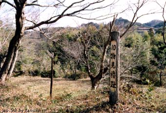 nagashinojyo