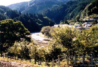 mukaitiba