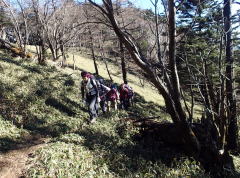 和名倉山への笹の道