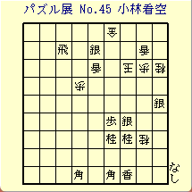 pYW No.45