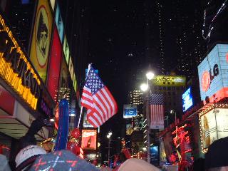 the Stars and Stripes