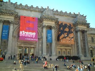 the Metropolitan Museum of Art