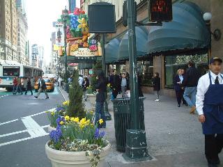 flowerpots