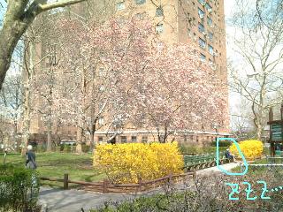 neighborhood1