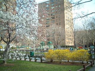 neighborhood2