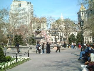 City Hall Park 1