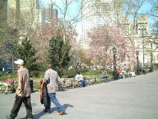 City Hall Park 2