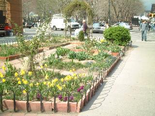 flowerbeds