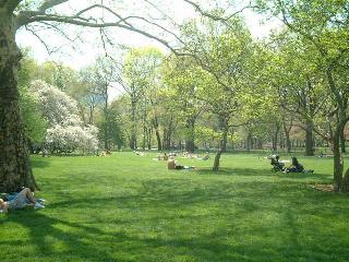 Central Park 2