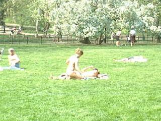 Central Park 3