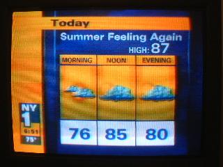 NY1 forecast